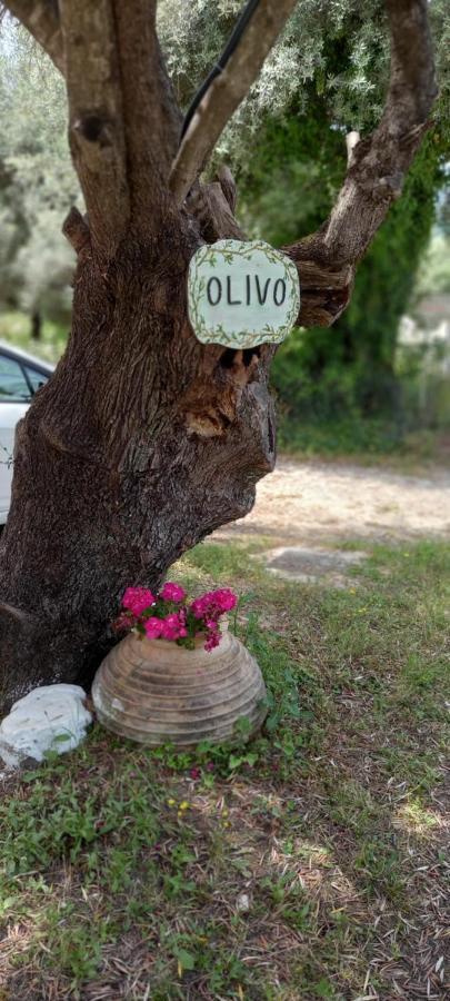 Olivo Nydri Apartment Exterior photo