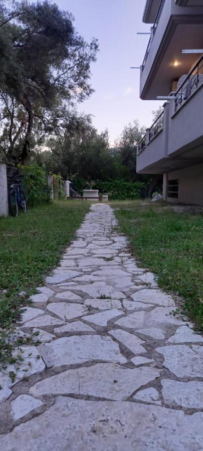 Olivo Nydri Apartment Exterior photo
